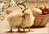 Paste Fericit!